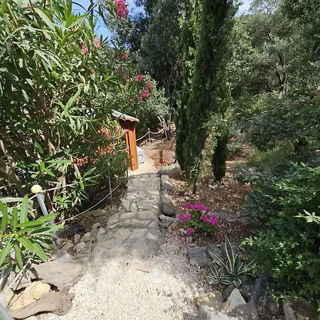 Dionysus Acharavi (Corfu)