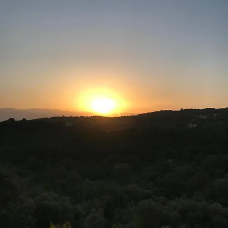 Dionysus Vila