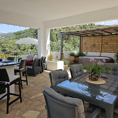 Dionysus * アカラヴィ